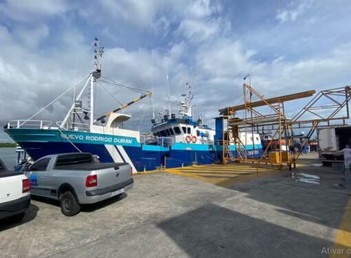 Governo federal suspende pesca de atum e setor estima prejuízo de R$ 30 milhões no RN