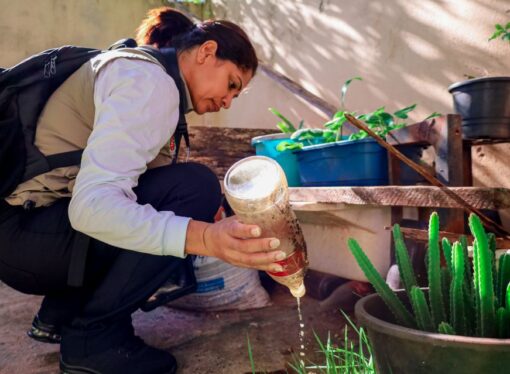 Com mais de 1 milhão de casos, Brasil faz ‘Dia D’ de combate à dengue